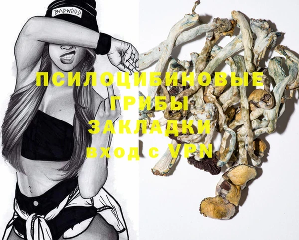 соль ск Липки