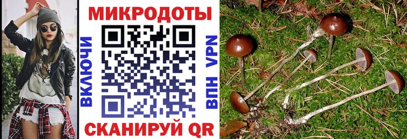 Купить где  Муром  Псилоцибиновые грибы GOLDEN TEACHER 